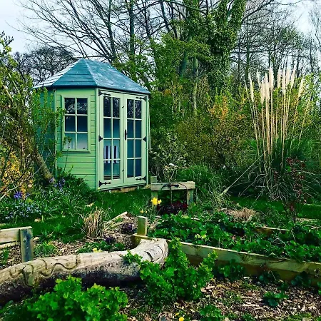 The Firs Hébergement de vacances *