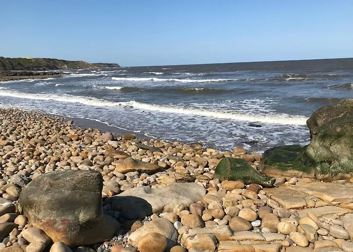 The Firs Hébergement de vacances *