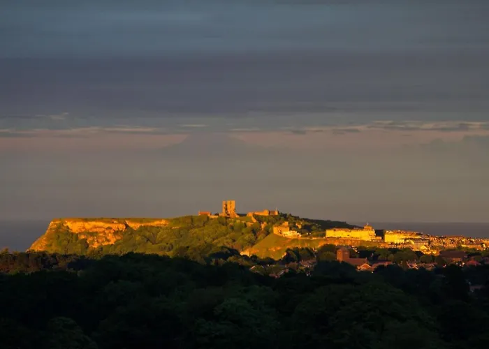 The Firs Hébergement de vacances