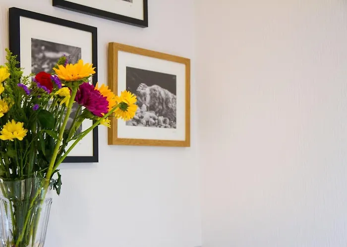 The Firs Hébergement de vacances *